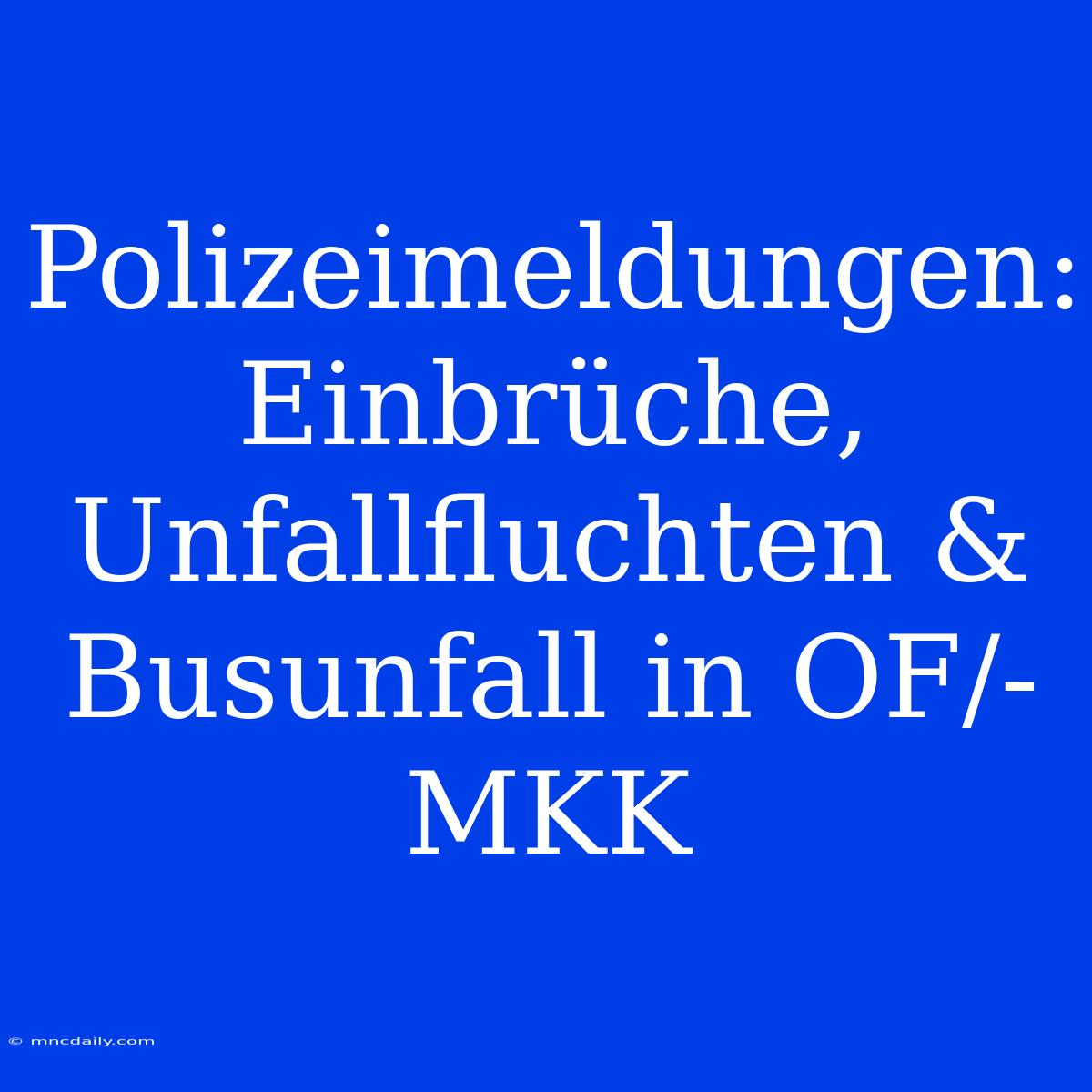 Polizeimeldungen: Einbrüche, Unfallfluchten & Busunfall In OF/-MKK