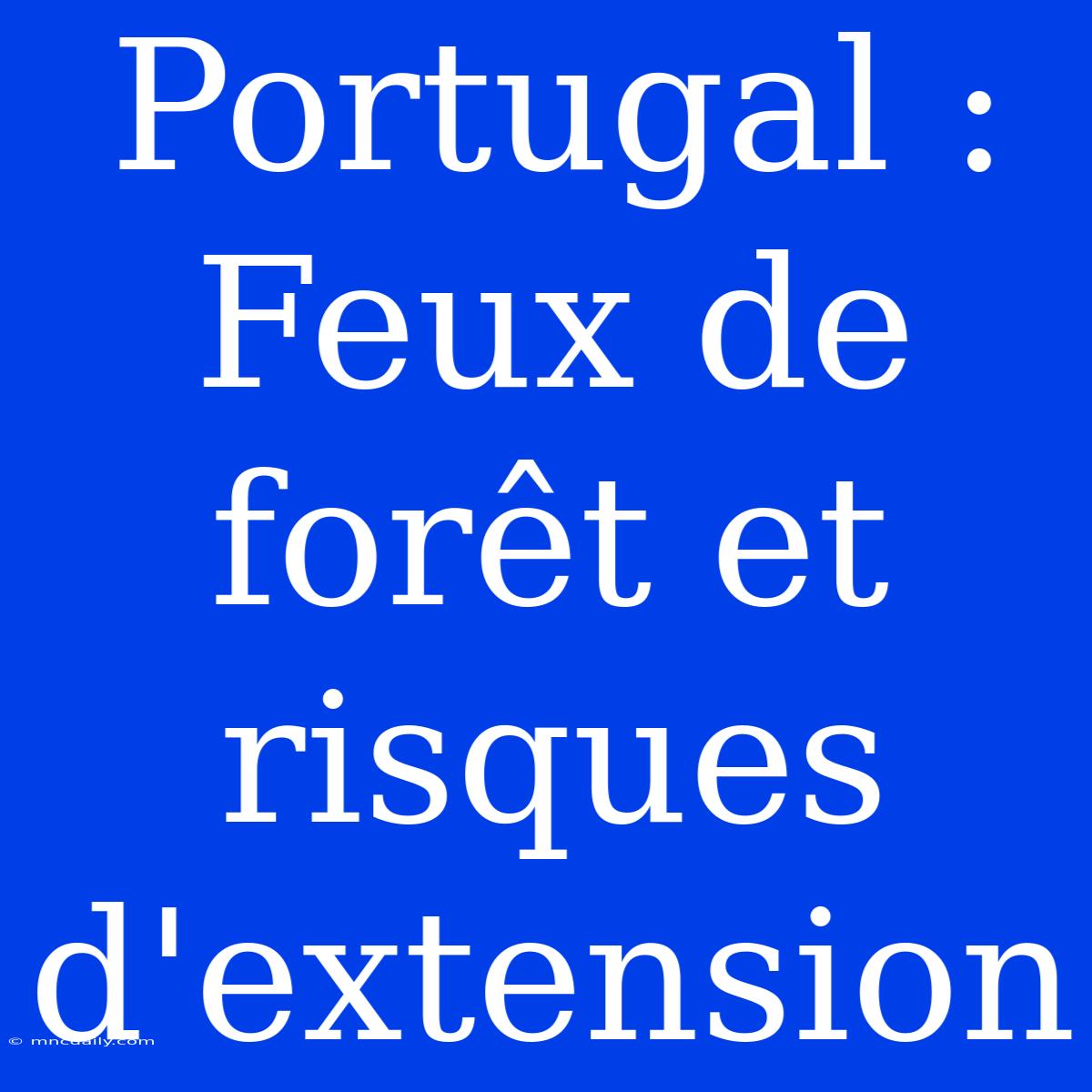 Portugal : Feux De Forêt Et Risques D'extension