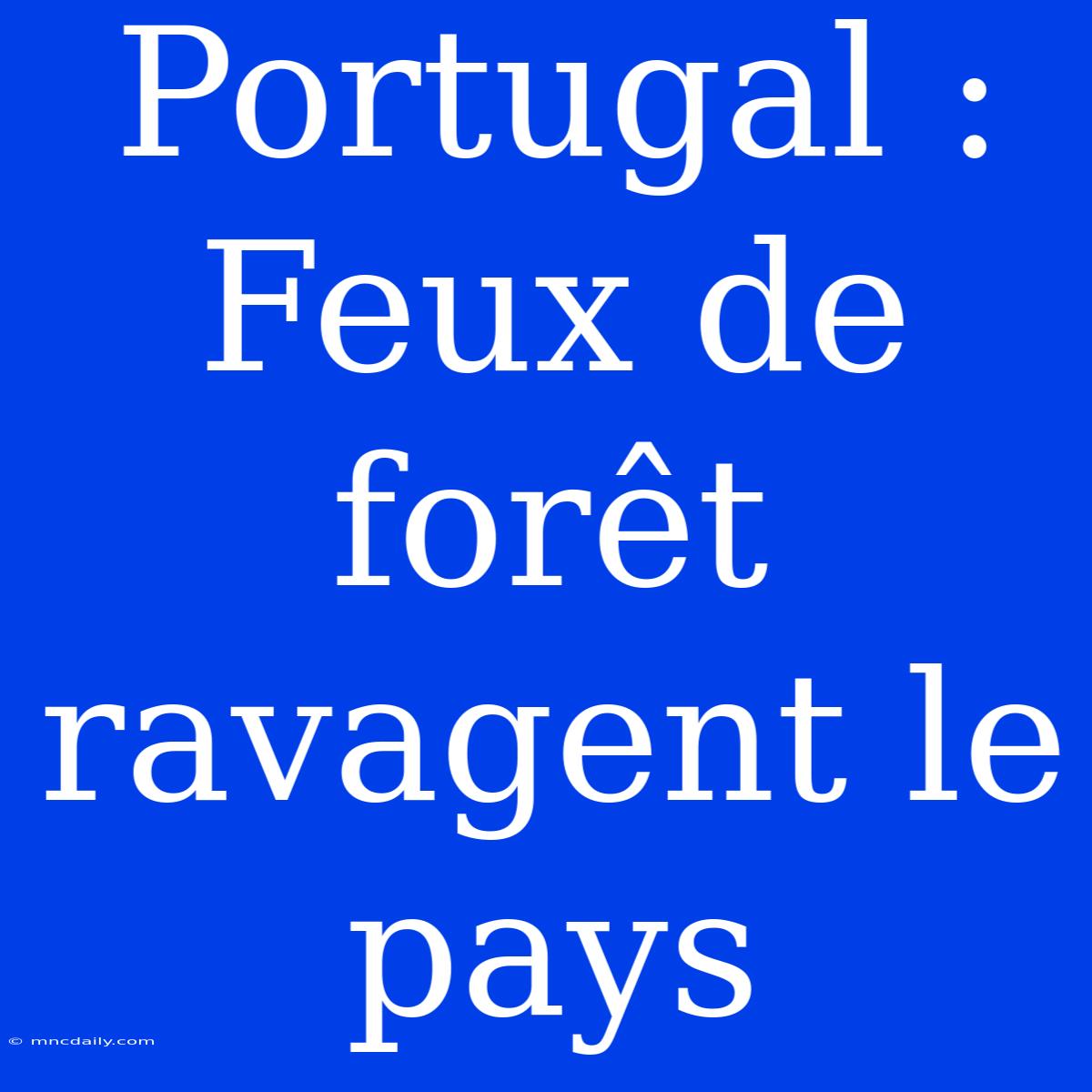 Portugal : Feux De Forêt Ravagent Le Pays