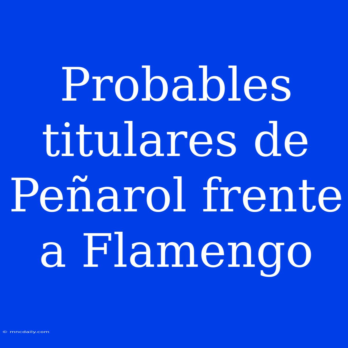 Probables Titulares De Peñarol Frente A Flamengo