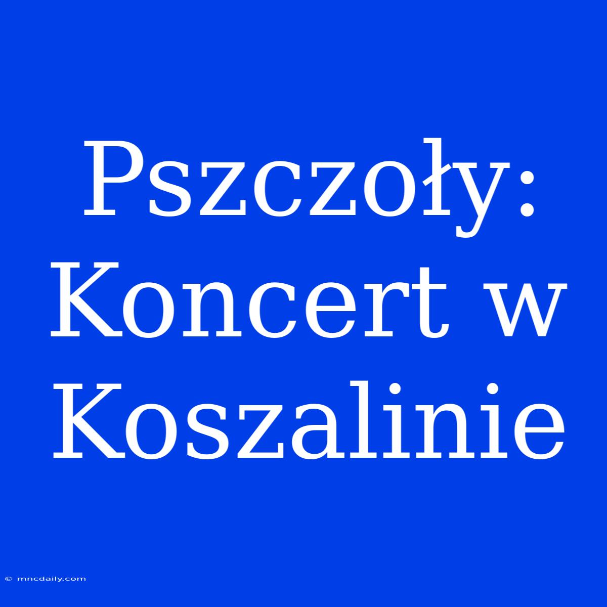 Pszczoły: Koncert W Koszalinie