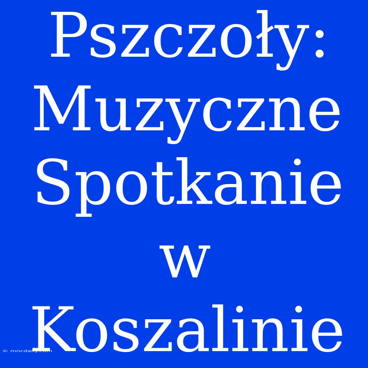 Pszczoły: Muzyczne Spotkanie W Koszalinie