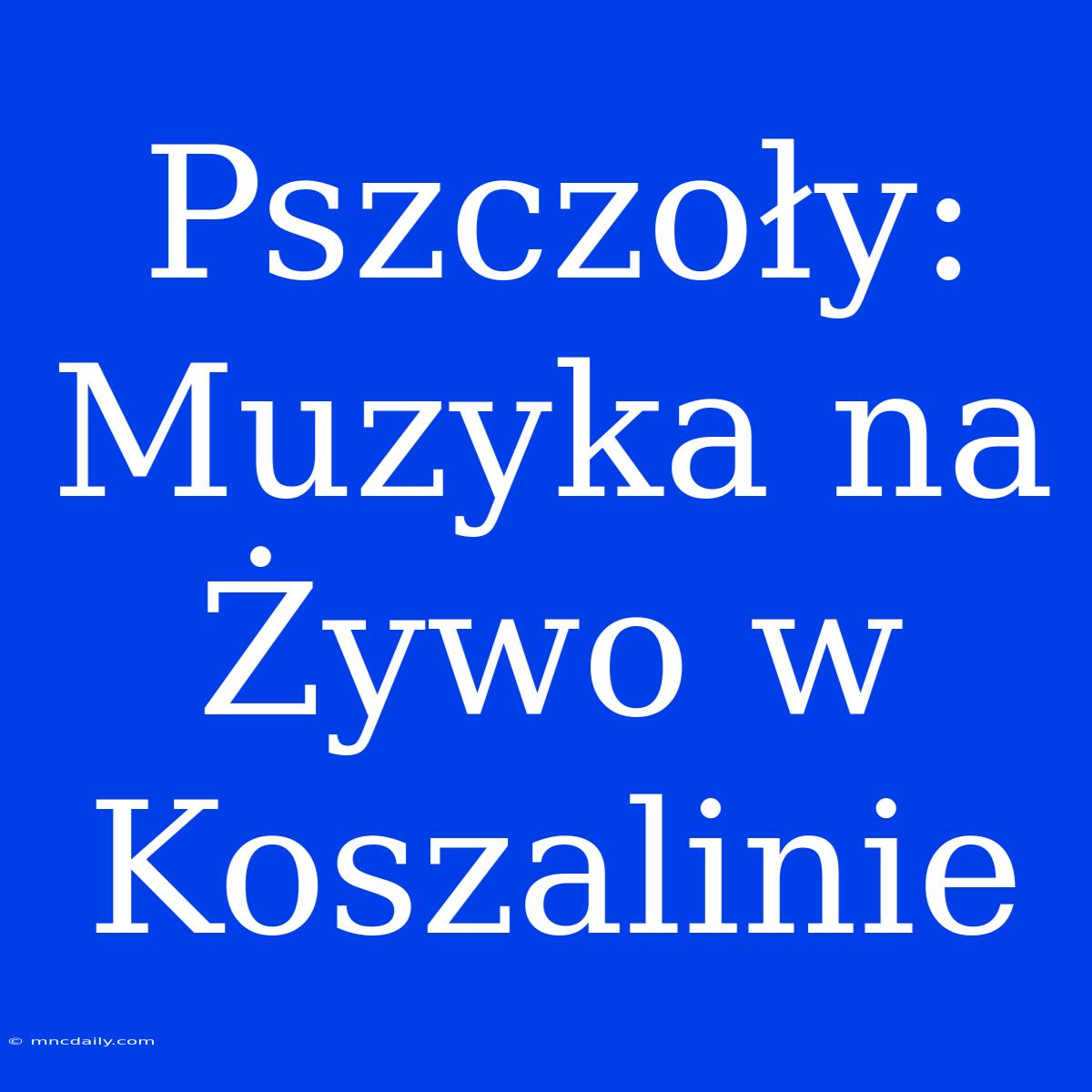 Pszczoły: Muzyka Na Żywo W Koszalinie 