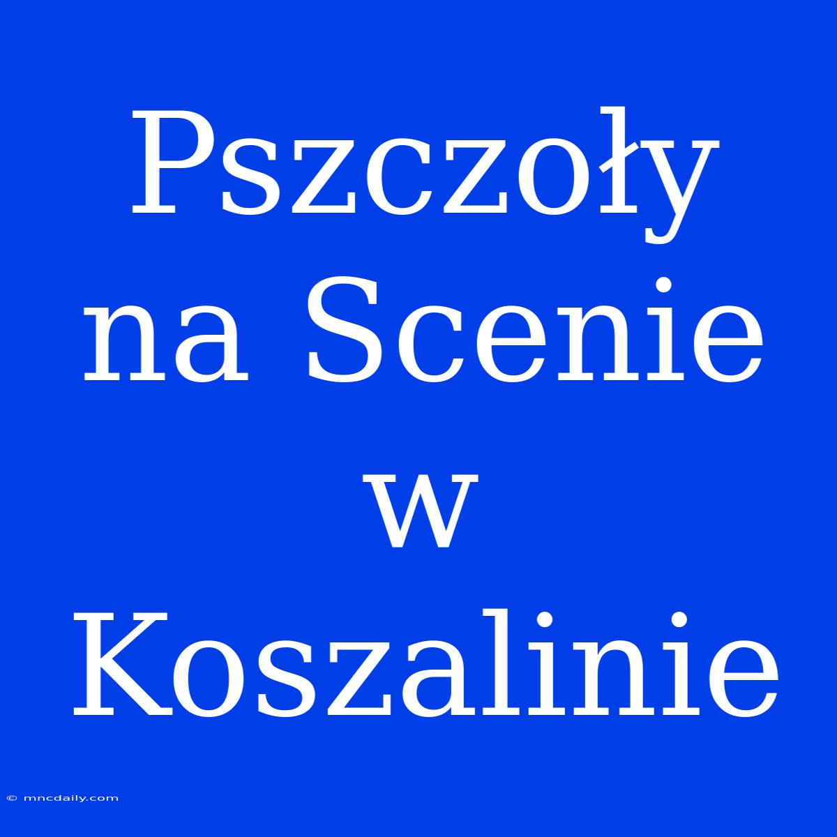 Pszczoły Na Scenie W Koszalinie