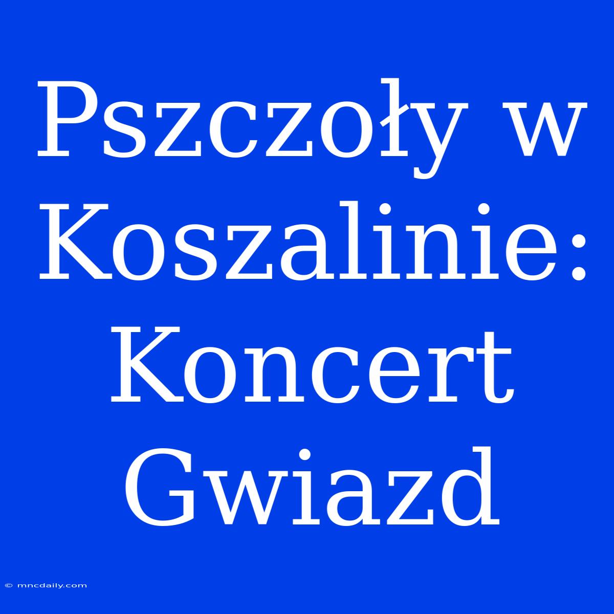 Pszczoły W Koszalinie: Koncert Gwiazd