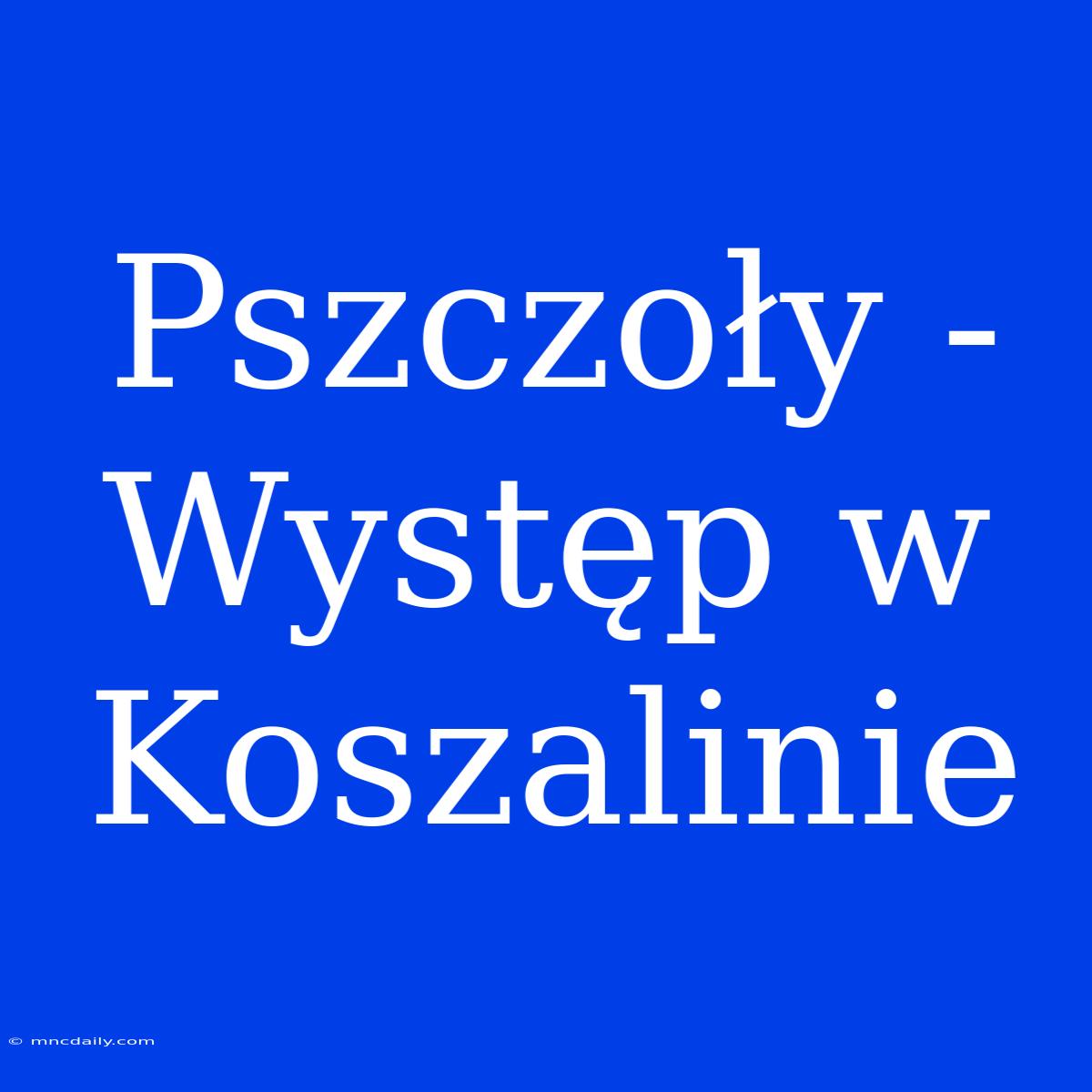 Pszczoły - Występ W Koszalinie