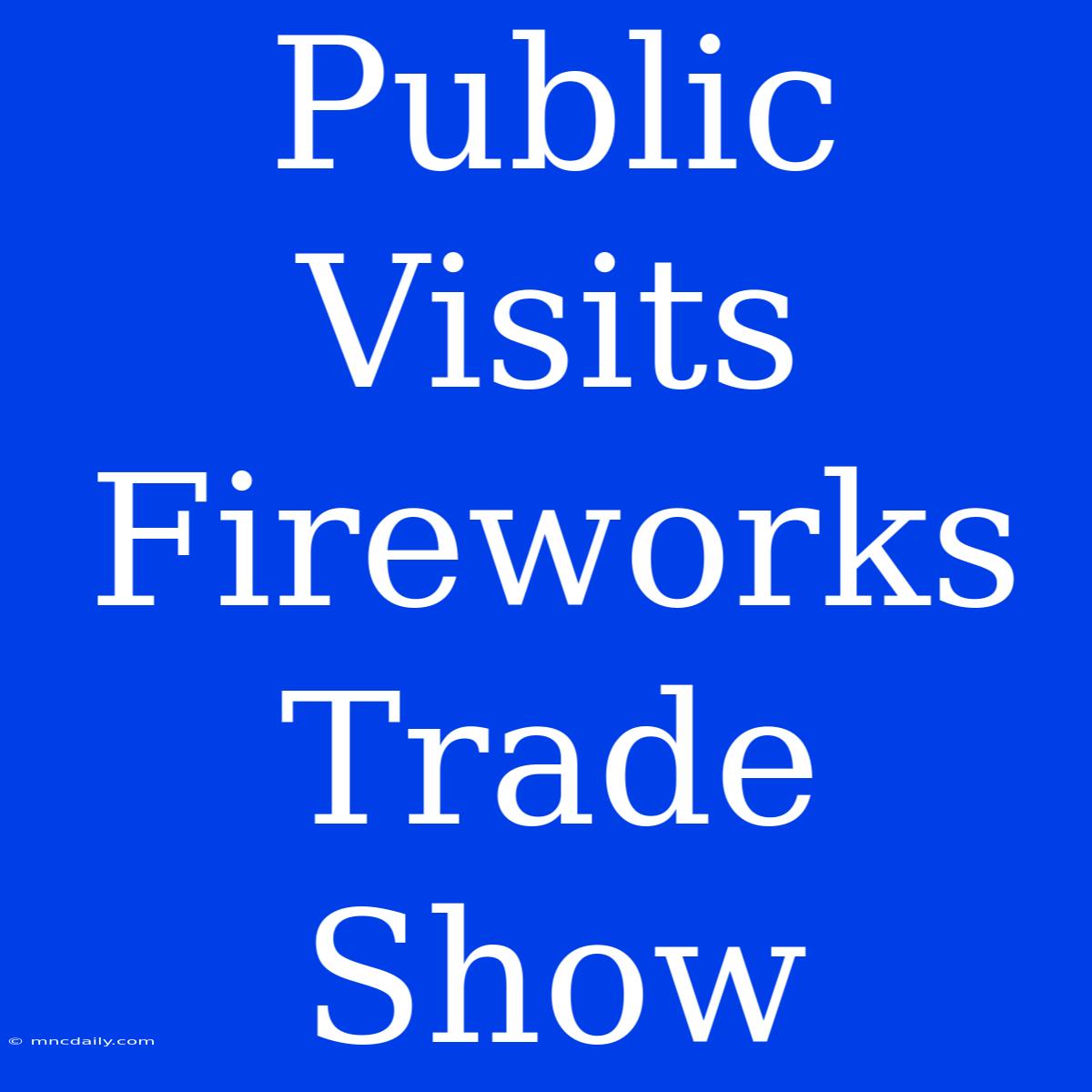 Public Visits Fireworks Trade Show 