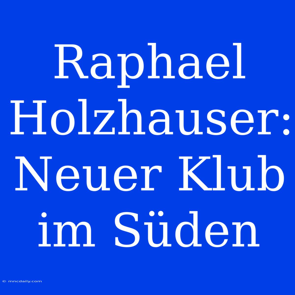 Raphael Holzhauser: Neuer Klub Im Süden