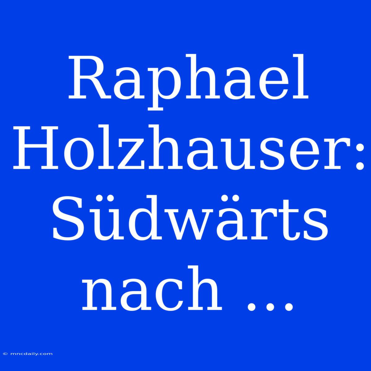 Raphael Holzhauser: Südwärts Nach ...