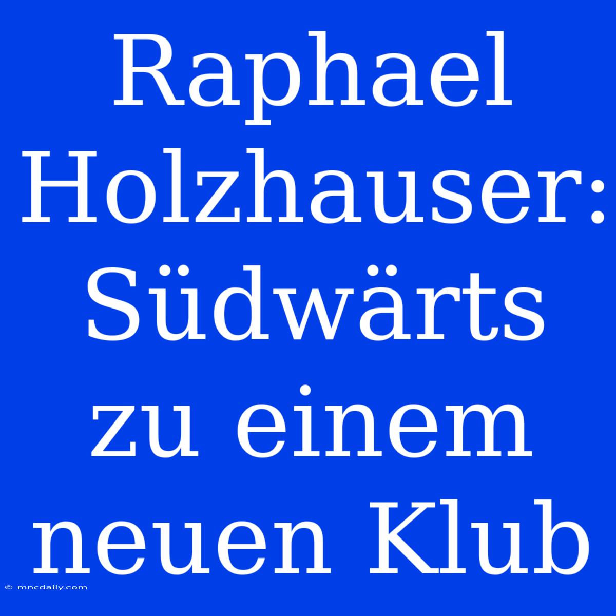 Raphael Holzhauser: Südwärts Zu Einem Neuen Klub