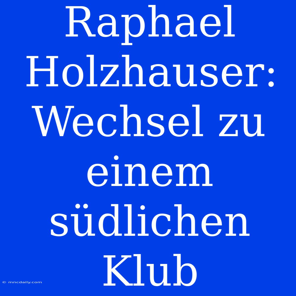 Raphael Holzhauser: Wechsel Zu Einem Südlichen Klub