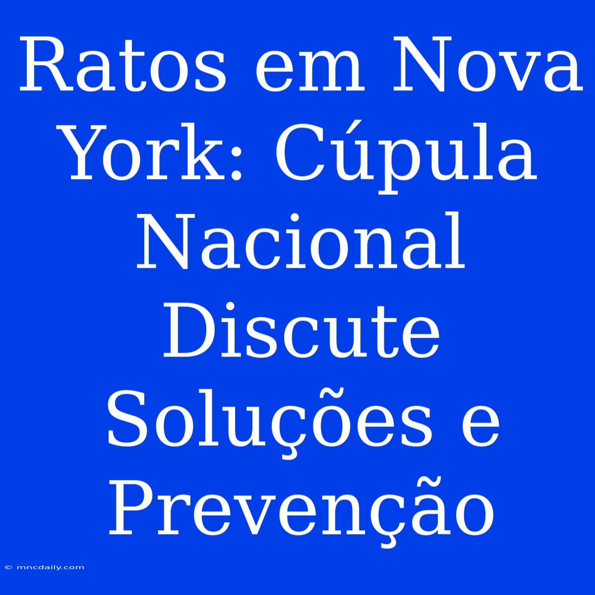 Ratos Em Nova York: Cúpula Nacional Discute Soluções E Prevenção 