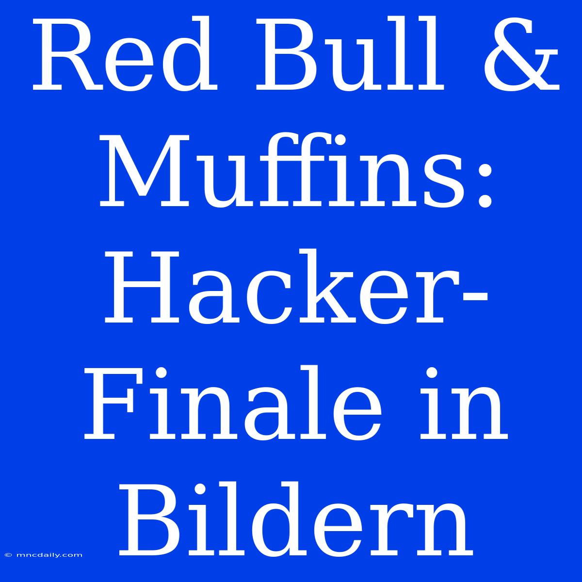 Red Bull & Muffins: Hacker-Finale In Bildern