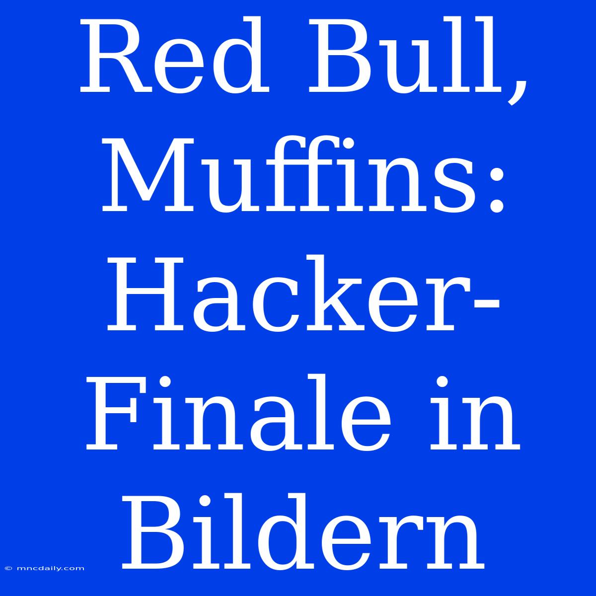 Red Bull, Muffins: Hacker-Finale In Bildern