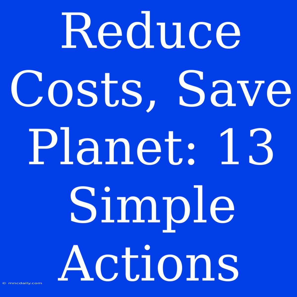 Reduce Costs, Save Planet: 13 Simple Actions