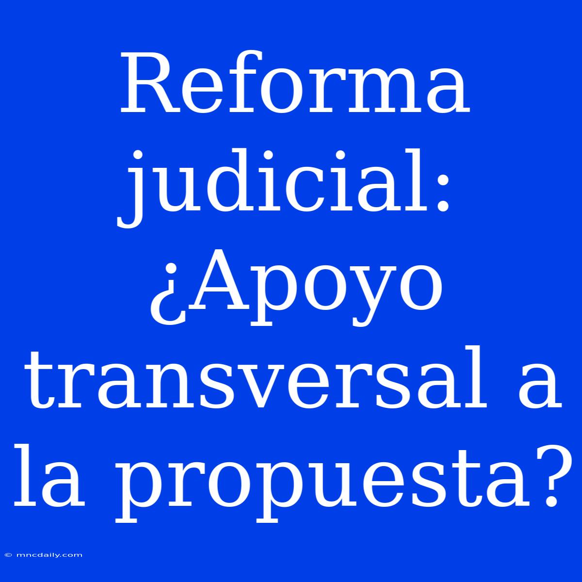 Reforma Judicial: ¿Apoyo Transversal A La Propuesta?