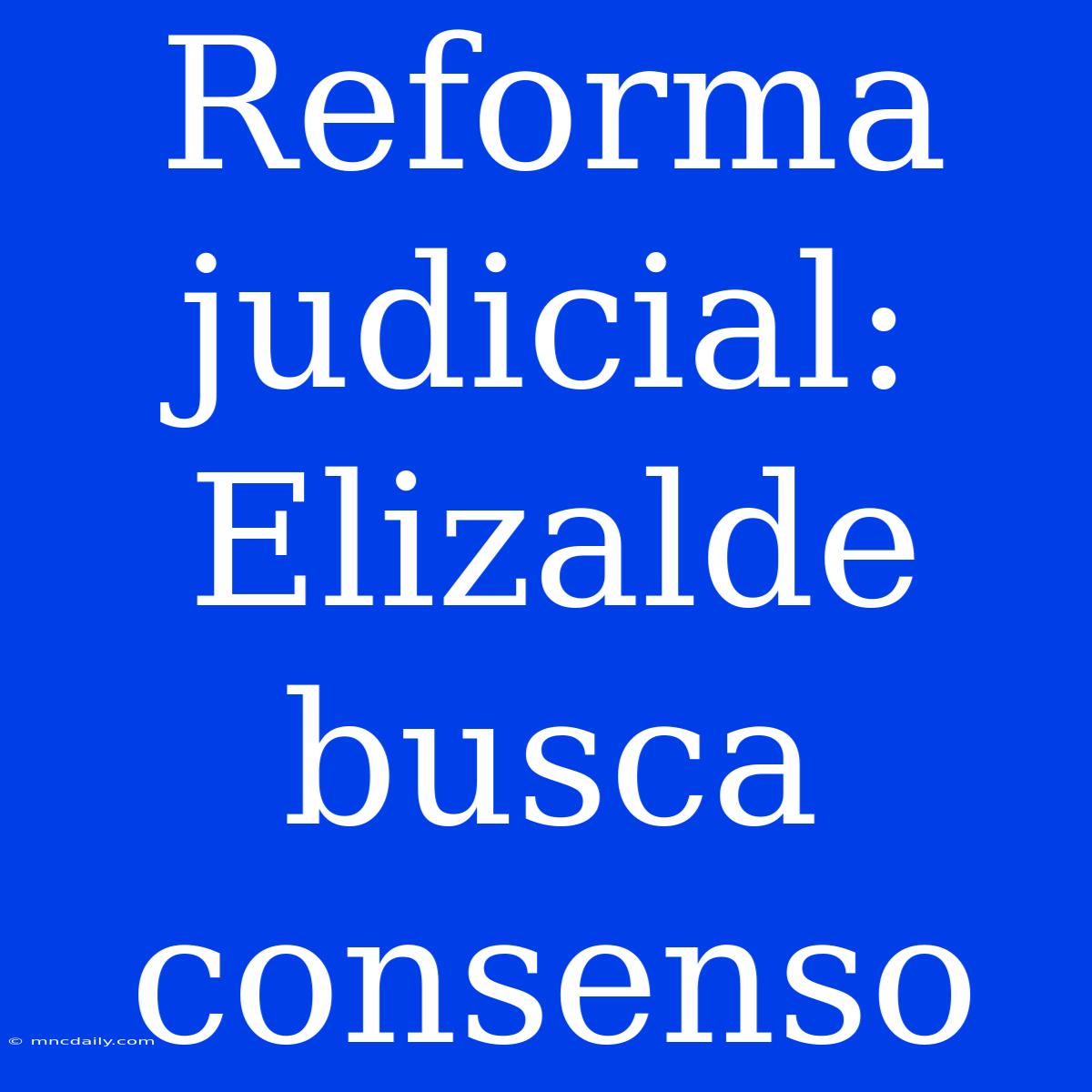 Reforma Judicial: Elizalde Busca Consenso 