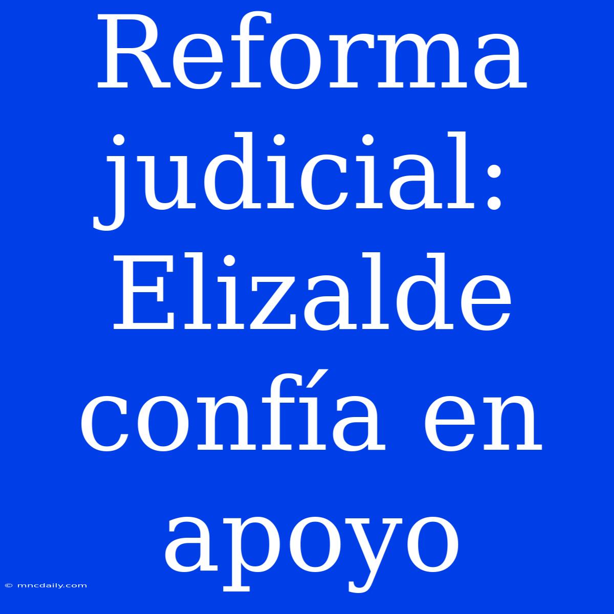 Reforma Judicial: Elizalde Confía En Apoyo 