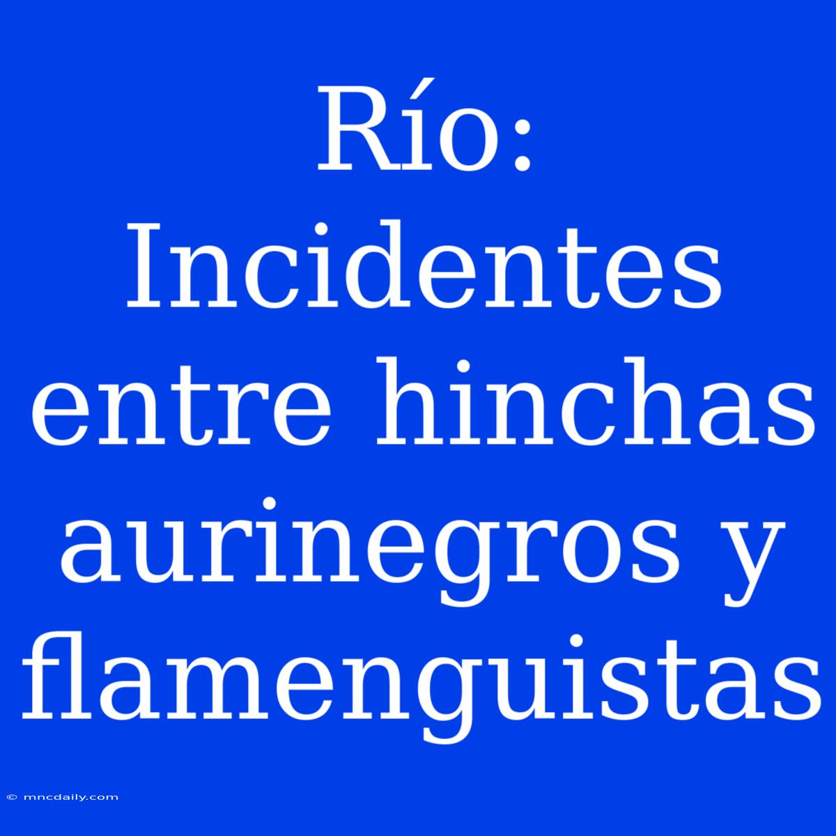 Río: Incidentes Entre Hinchas Aurinegros Y Flamenguistas