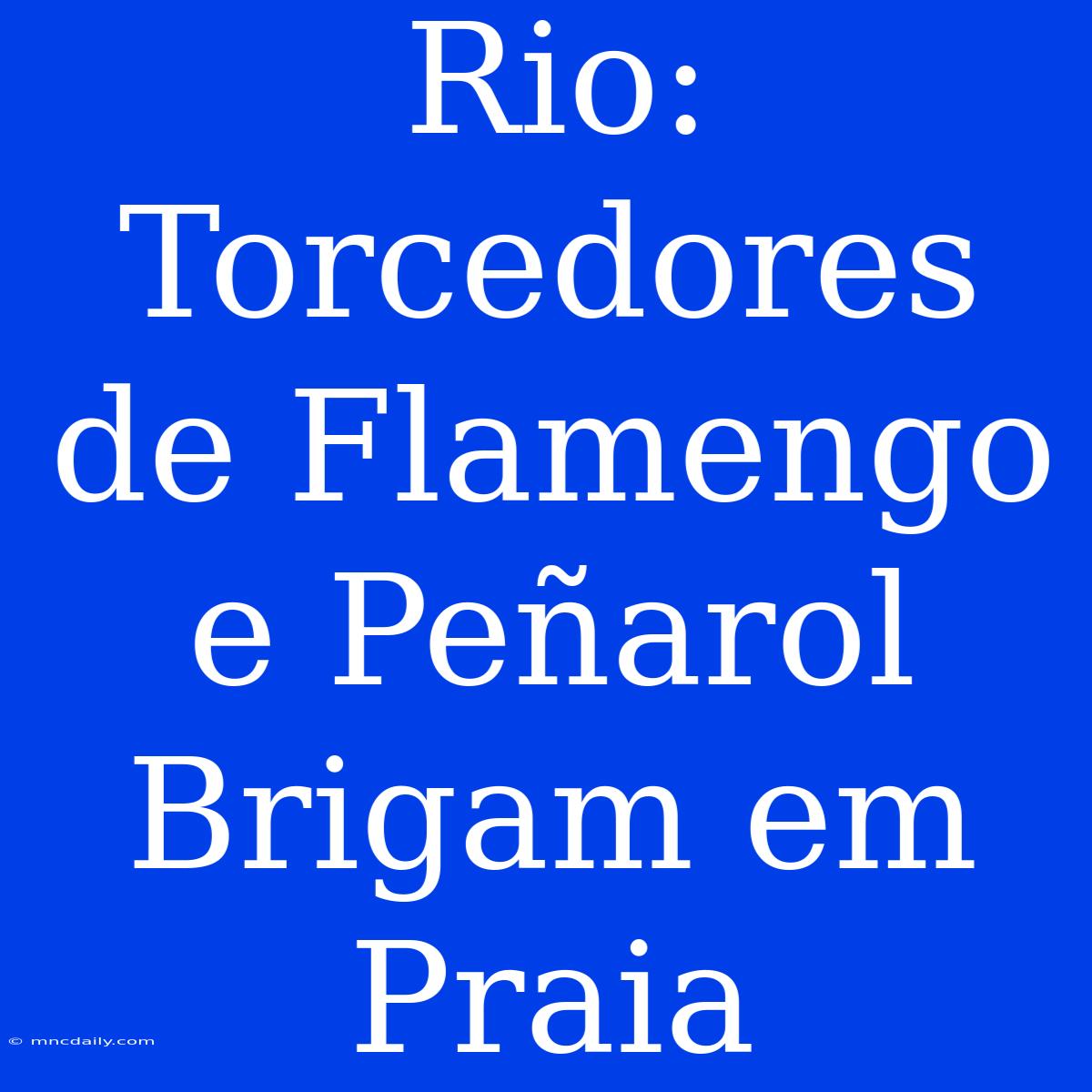 Rio: Torcedores De Flamengo E Peñarol Brigam Em Praia 