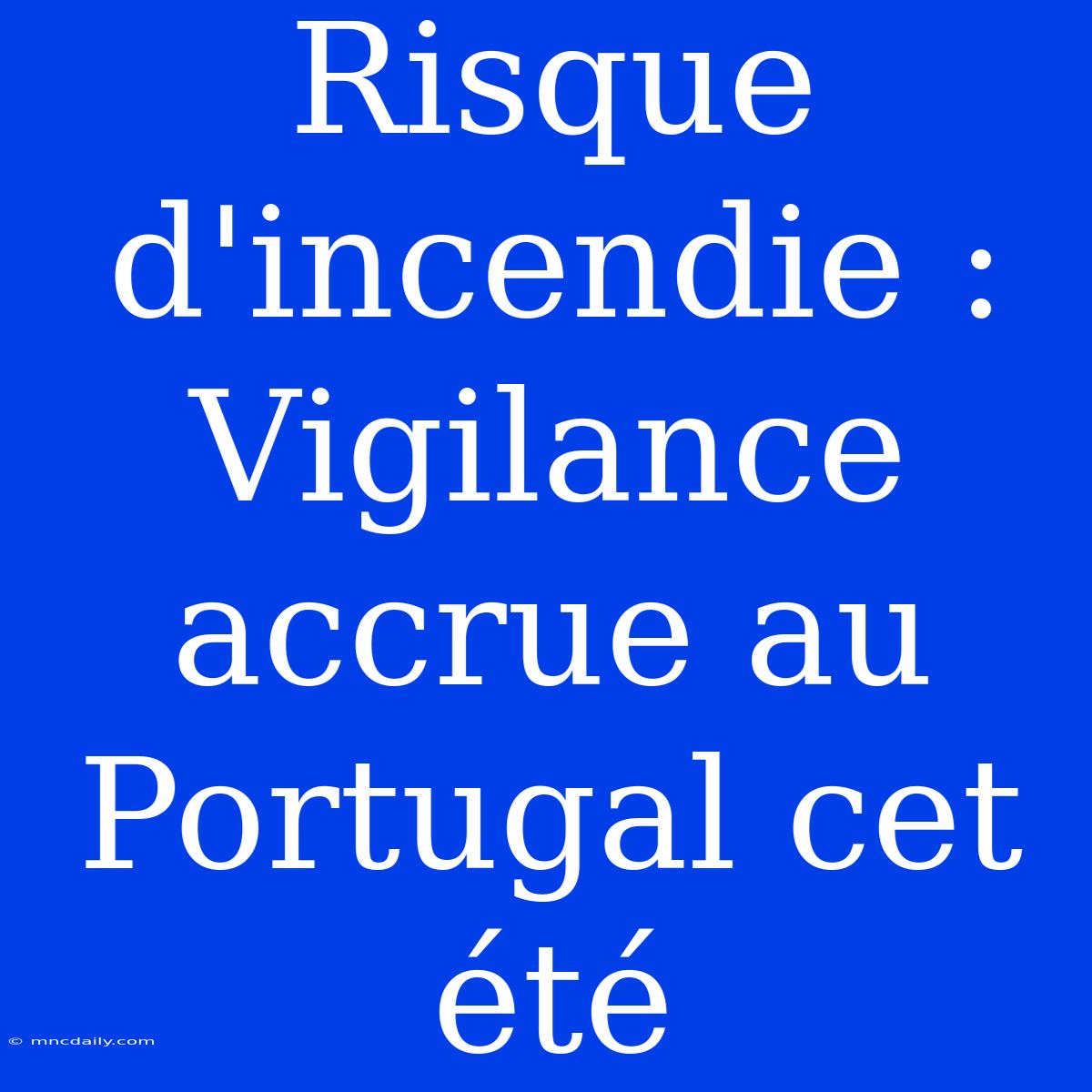 Risque D'incendie : Vigilance Accrue Au Portugal Cet Été