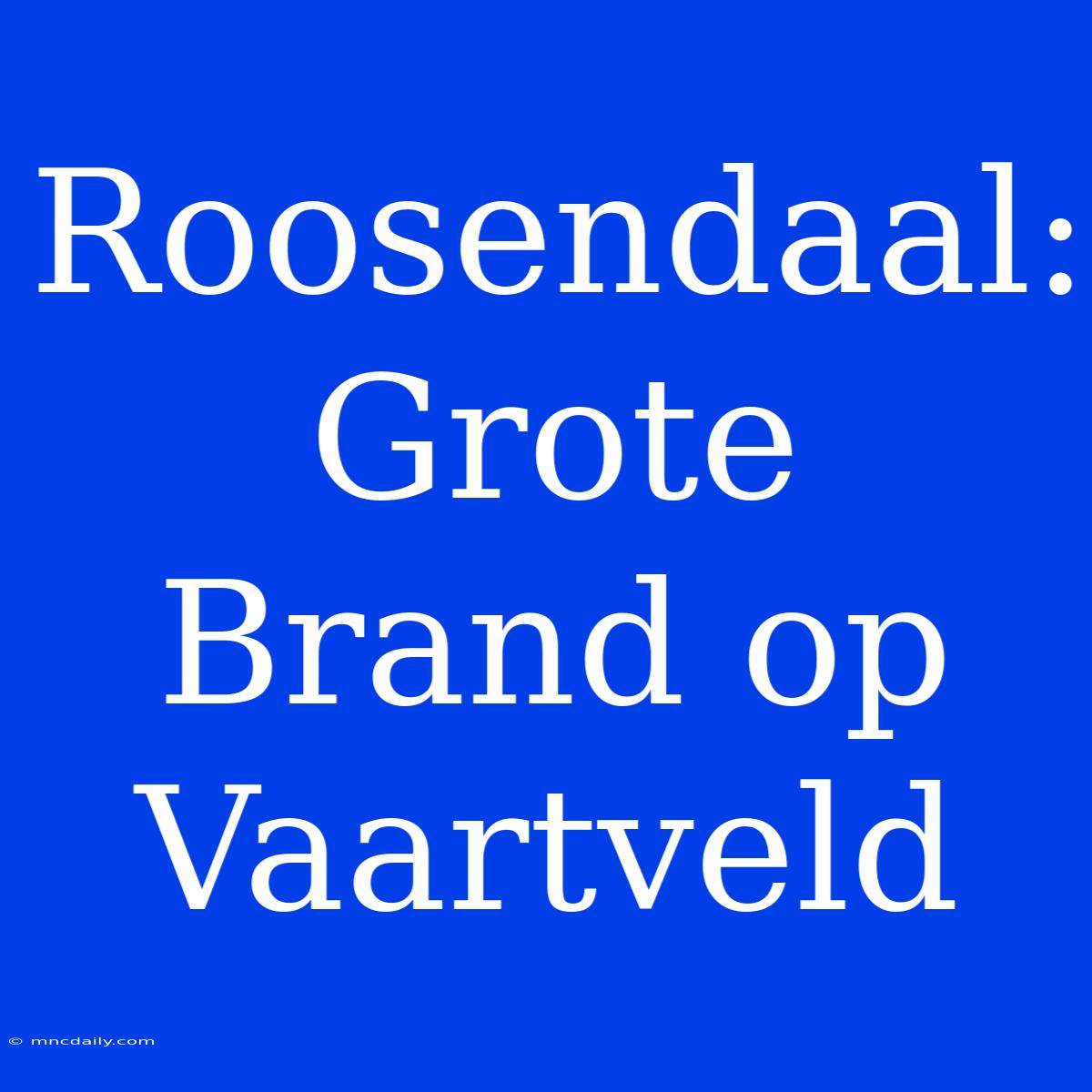 Roosendaal: Grote Brand Op Vaartveld