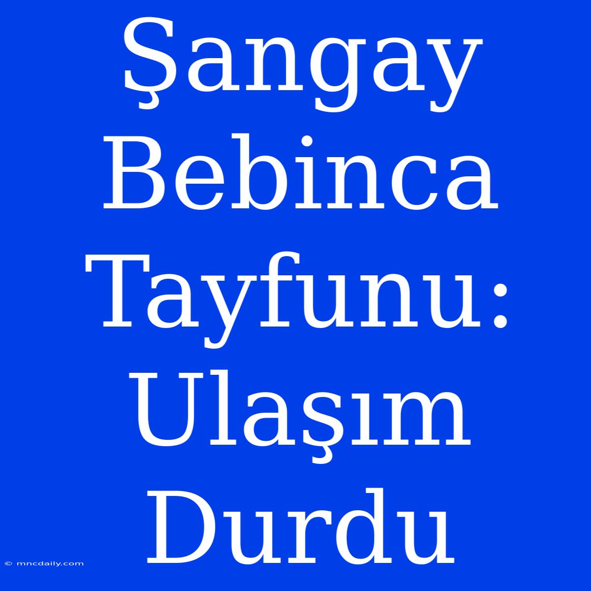 Şangay Bebinca Tayfunu: Ulaşım Durdu