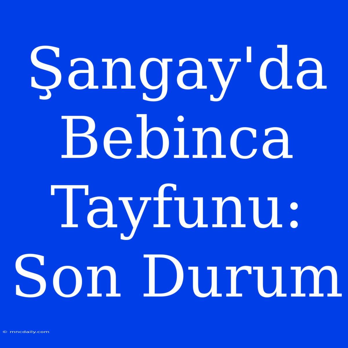 Şangay'da Bebinca Tayfunu: Son Durum