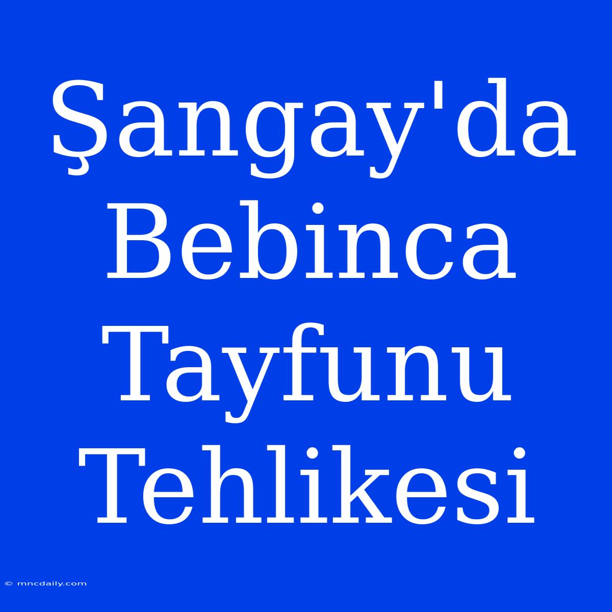 Şangay'da Bebinca Tayfunu Tehlikesi