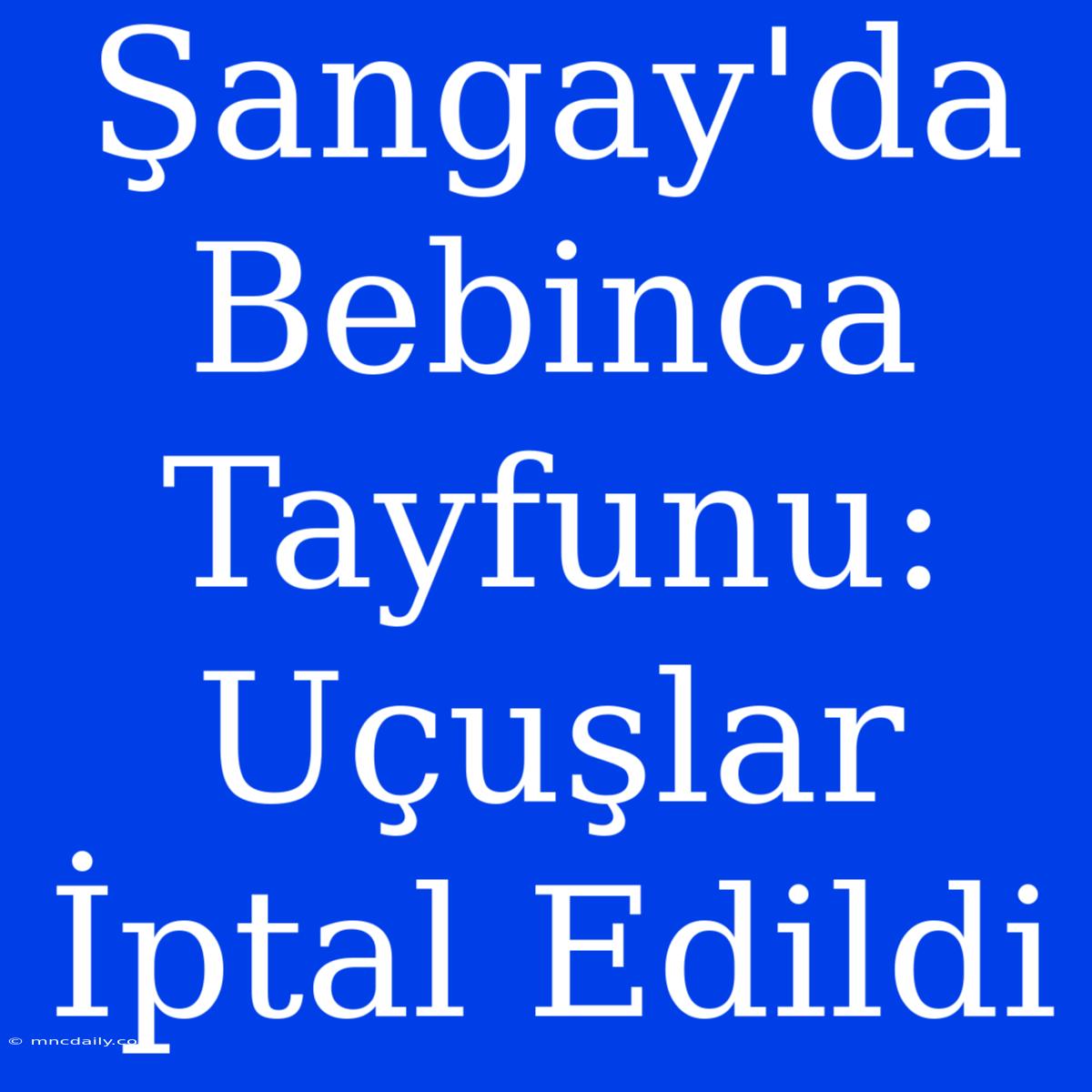 Şangay'da Bebinca Tayfunu: Uçuşlar İptal Edildi