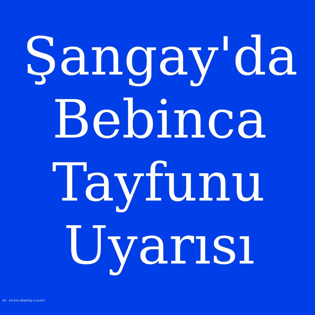 Şangay'da Bebinca Tayfunu Uyarısı