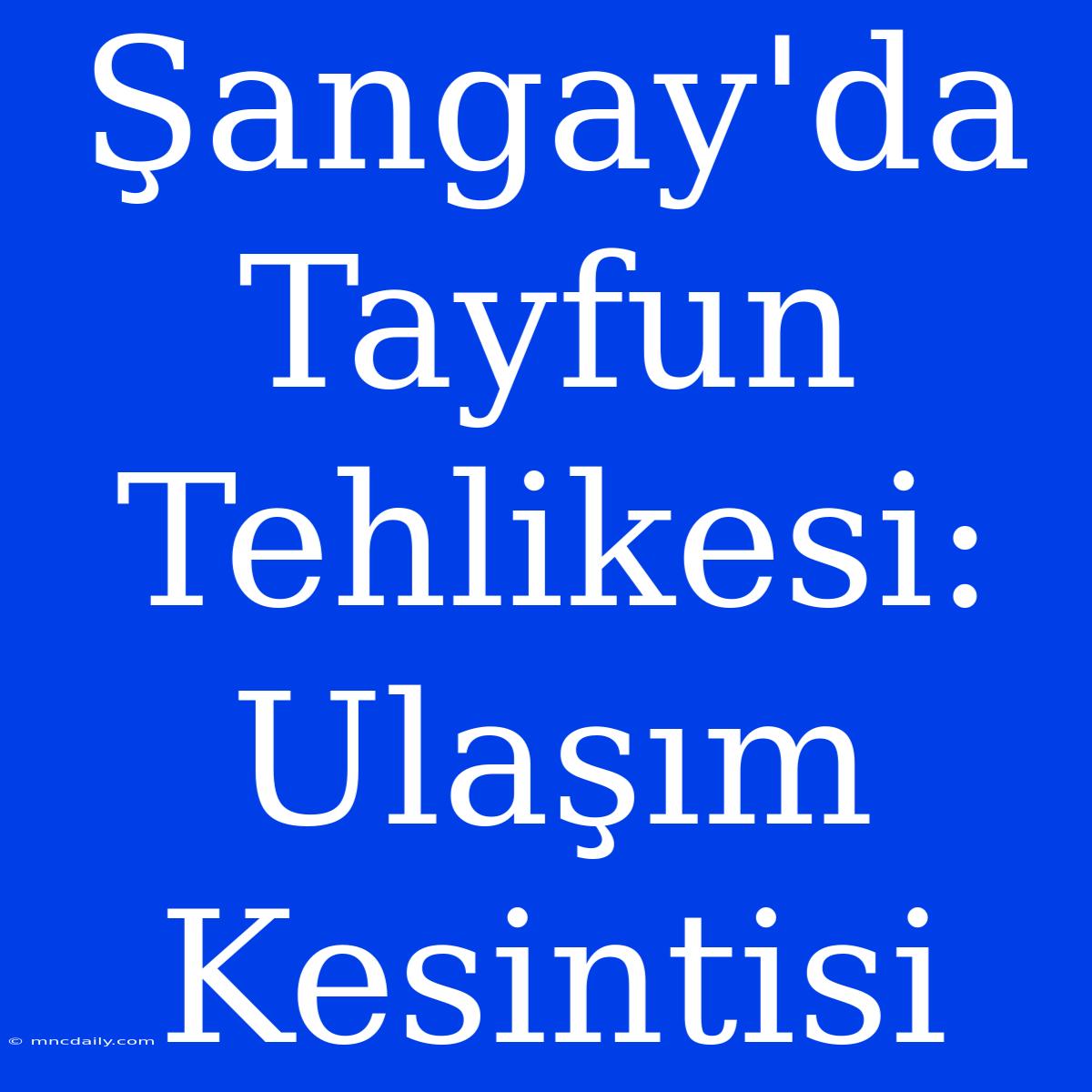 Şangay'da Tayfun Tehlikesi: Ulaşım Kesintisi