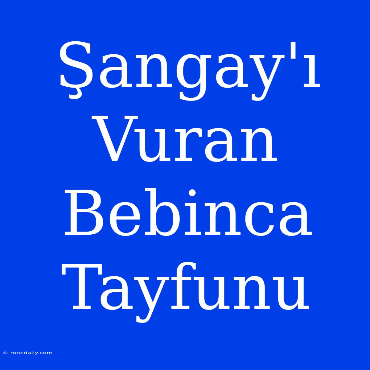 Şangay'ı Vuran Bebinca Tayfunu