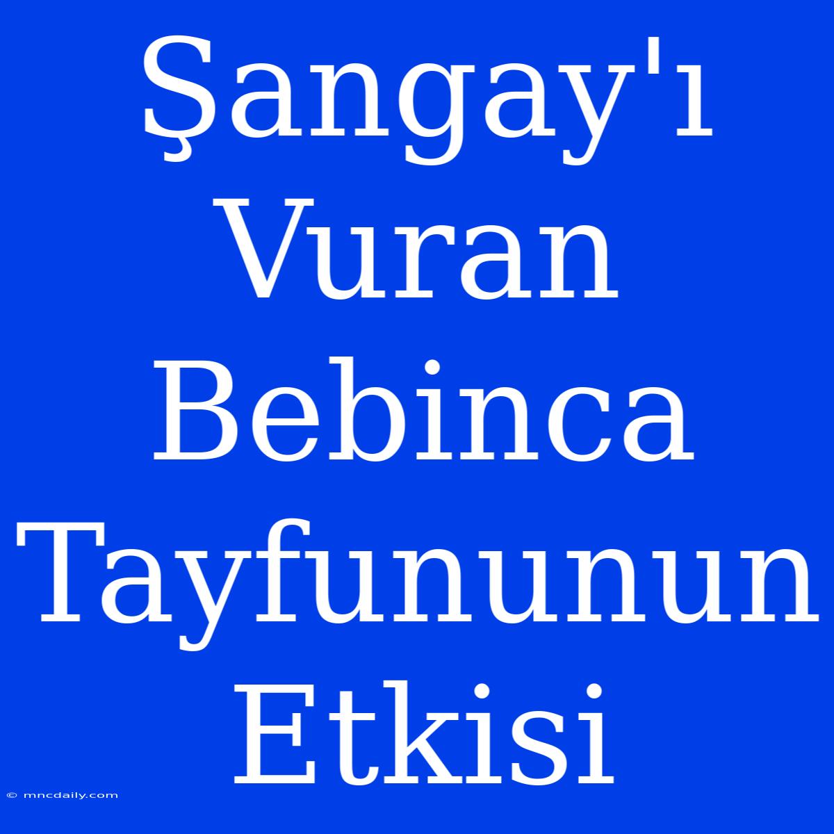 Şangay'ı Vuran Bebinca Tayfununun Etkisi