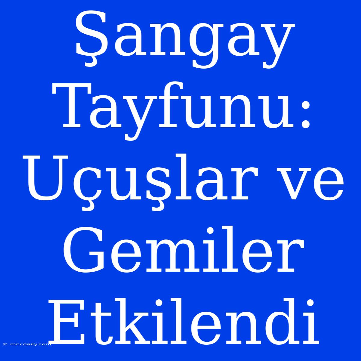 Şangay Tayfunu: Uçuşlar Ve Gemiler Etkilendi