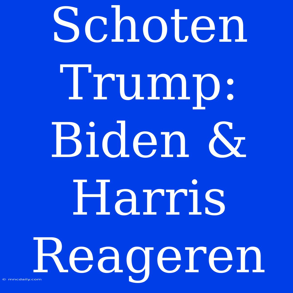 Schoten Trump: Biden & Harris Reageren