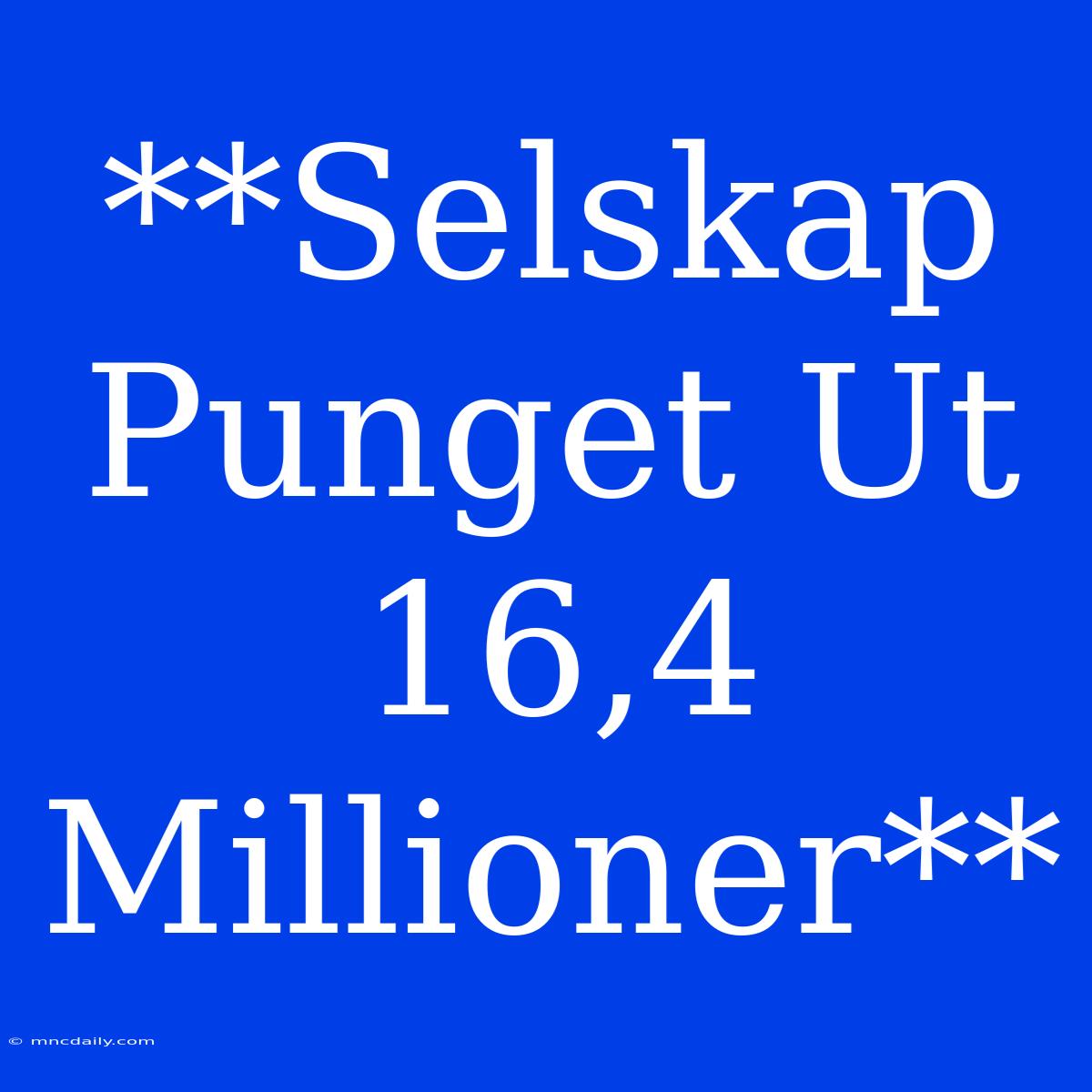 **Selskap Punget Ut 16,4 Millioner**