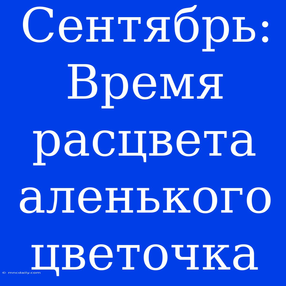 Сентябрь: Время Расцвета Аленького Цветочка