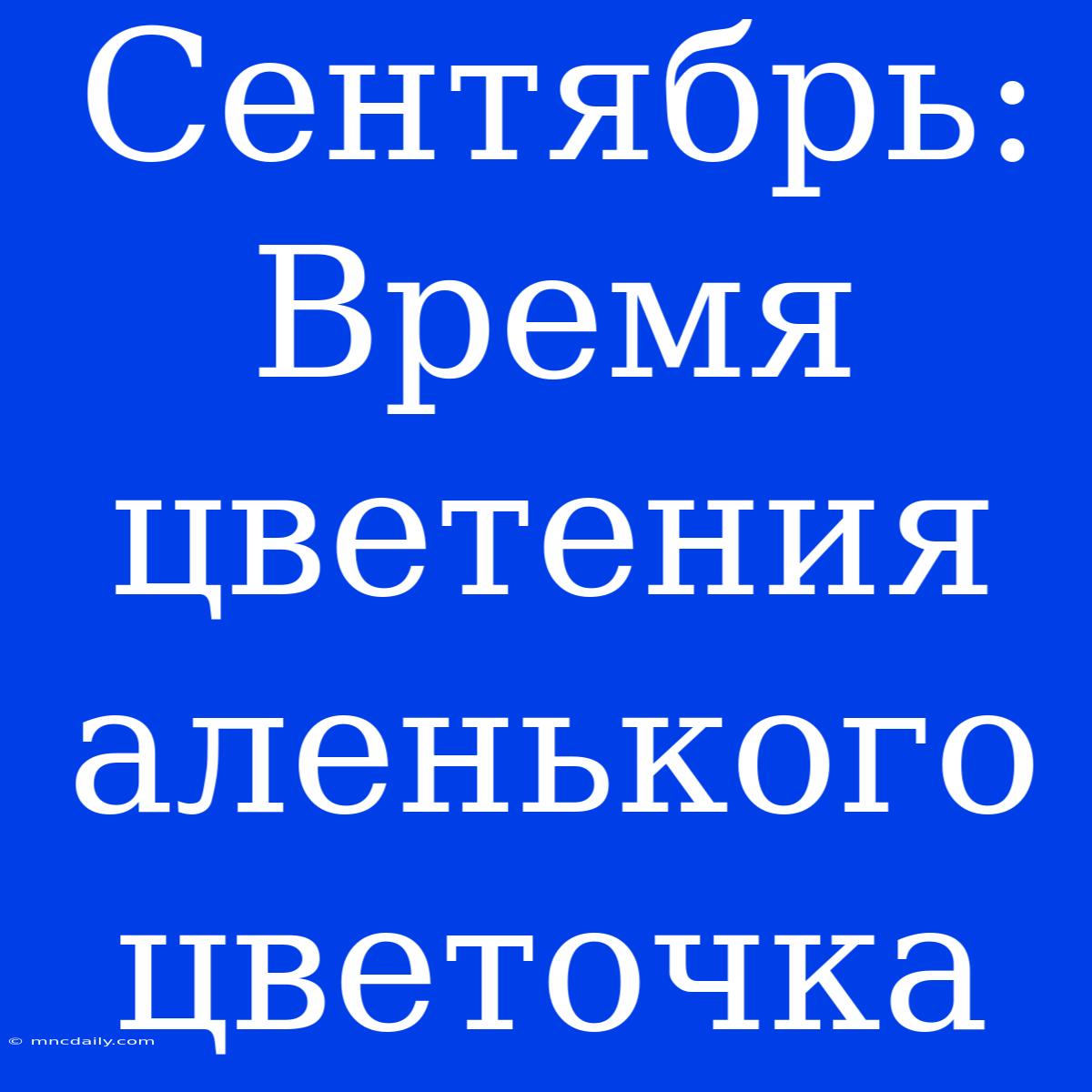 Сентябрь: Время Цветения Аленького Цветочка