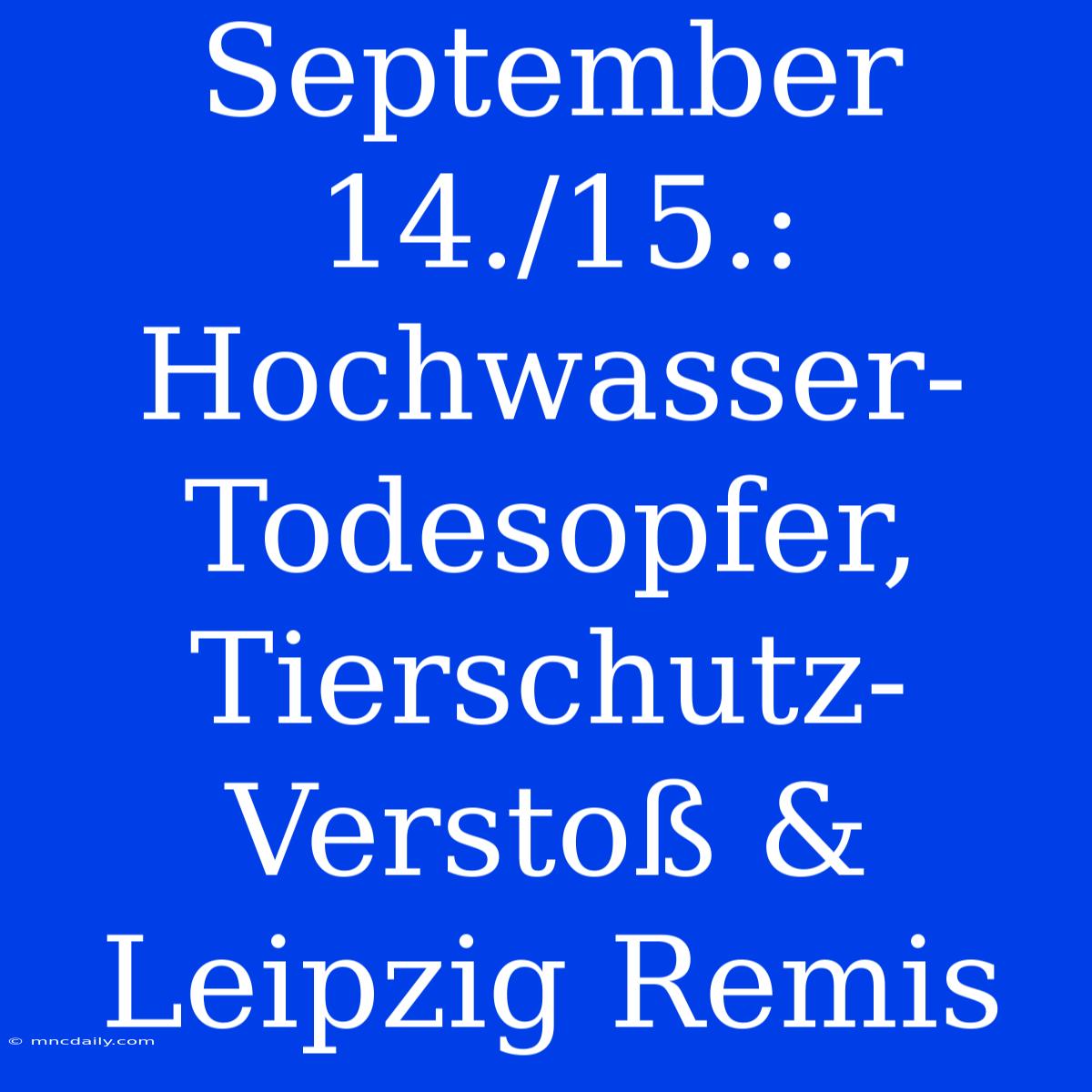 September 14./15.: Hochwasser-Todesopfer, Tierschutz-Verstoß & Leipzig Remis