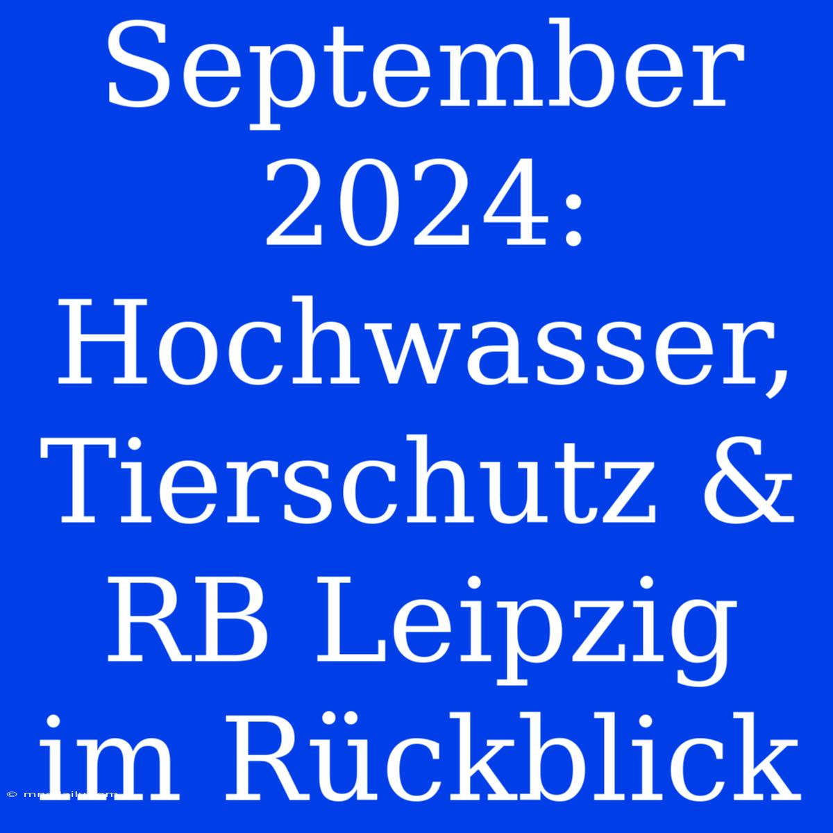 September 2024: Hochwasser, Tierschutz & RB Leipzig Im Rückblick