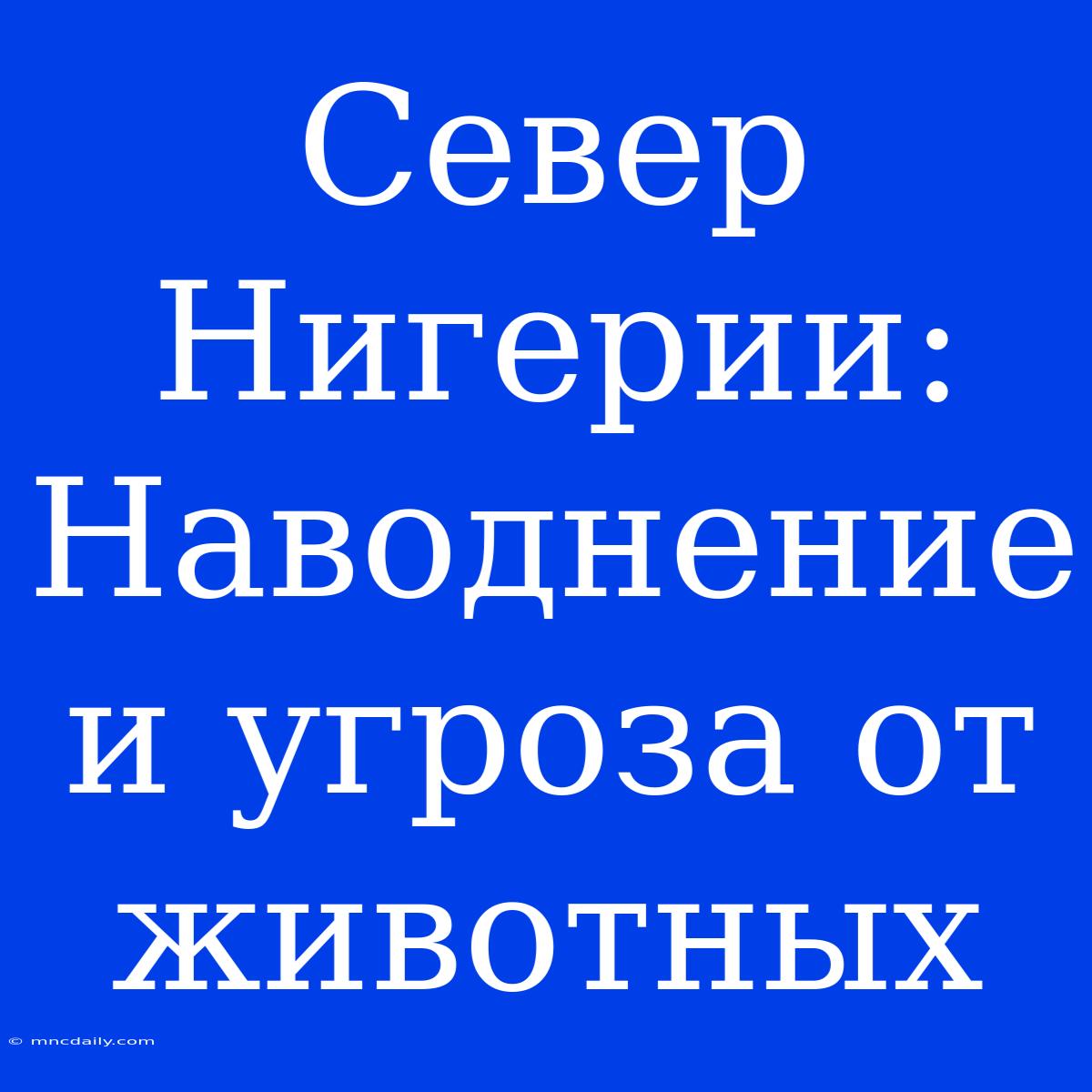 Север Нигерии: Наводнение И Угроза От Животных