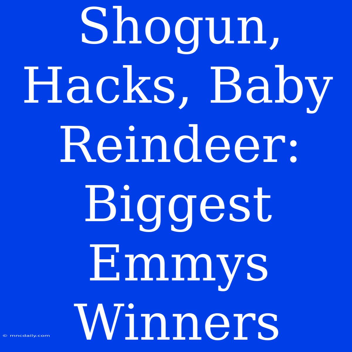 Shogun, Hacks, Baby Reindeer: Biggest Emmys Winners