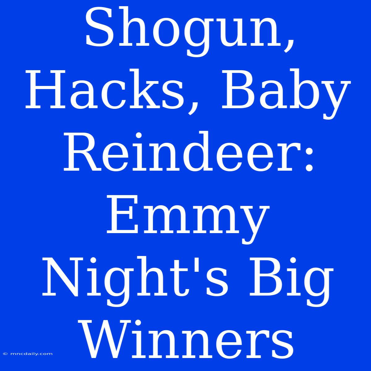 Shogun, Hacks, Baby Reindeer: Emmy Night's Big Winners