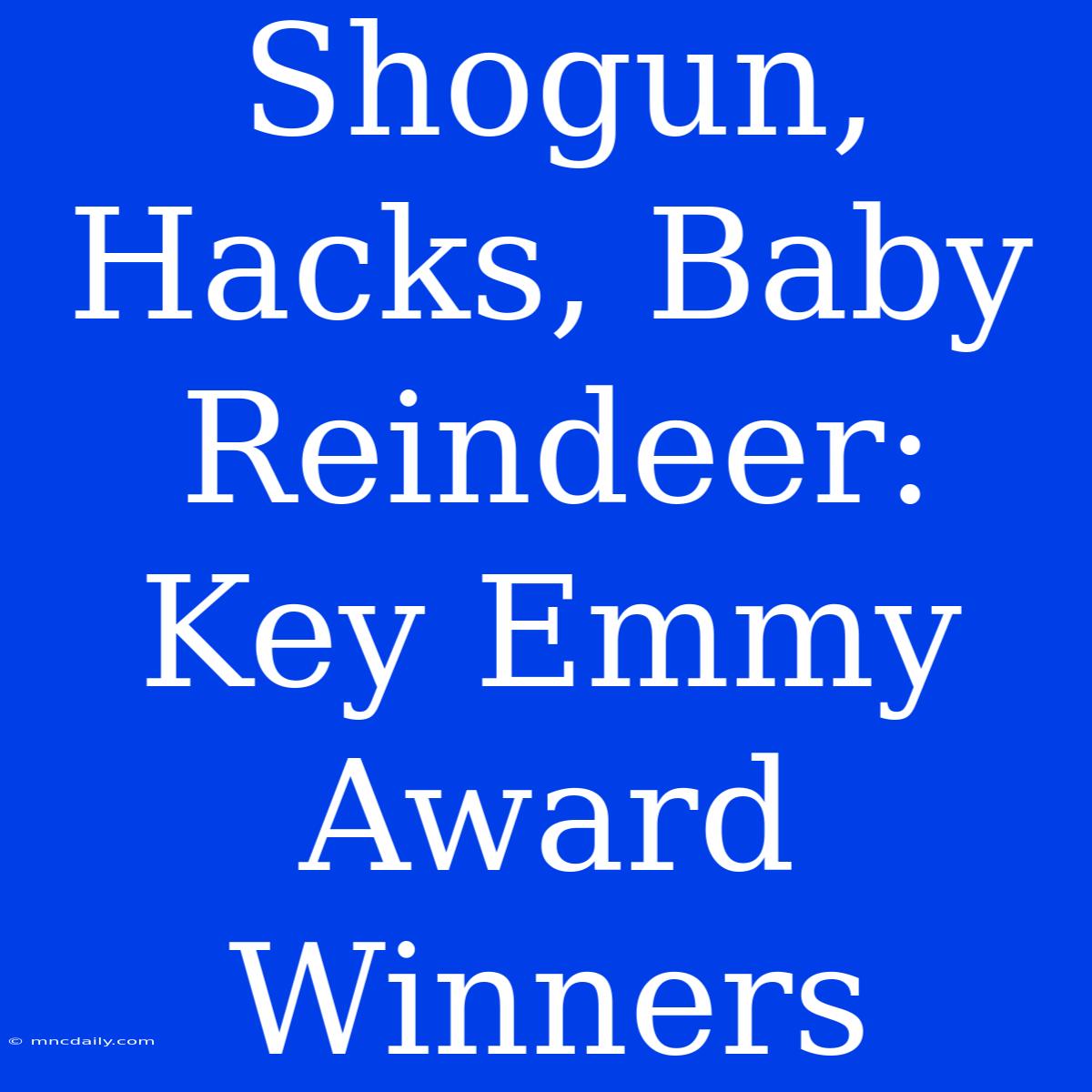 Shogun, Hacks, Baby Reindeer: Key Emmy Award Winners