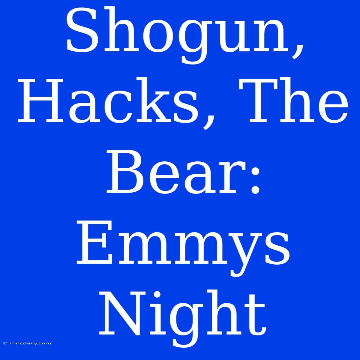 Shogun, Hacks, The Bear: Emmys Night 