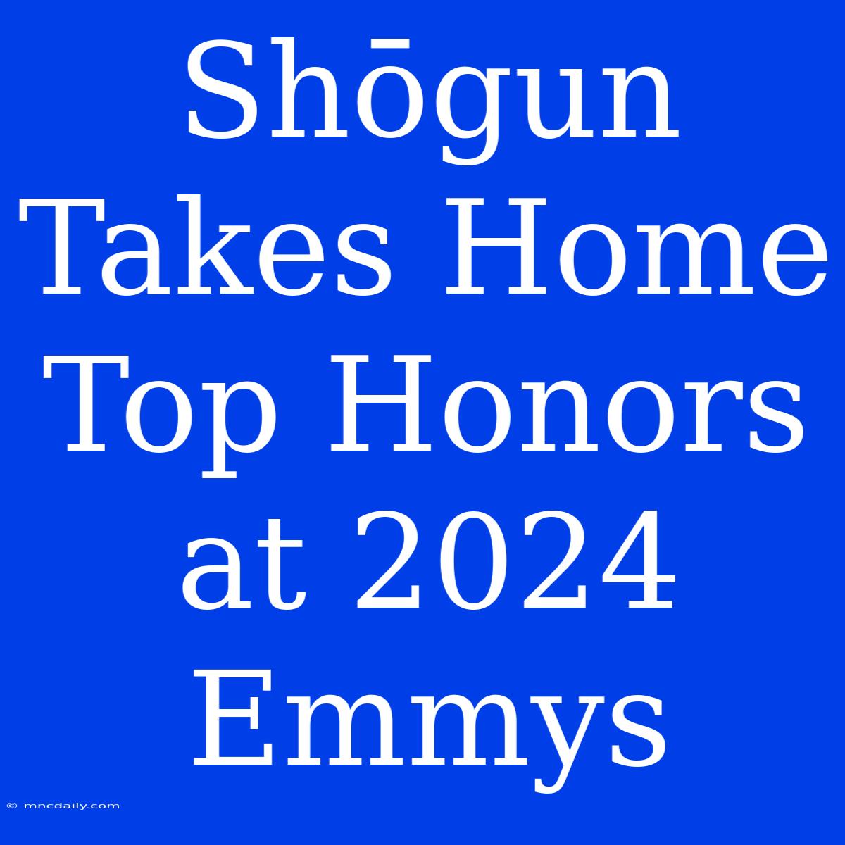 Shōgun Takes Home Top Honors At 2024 Emmys