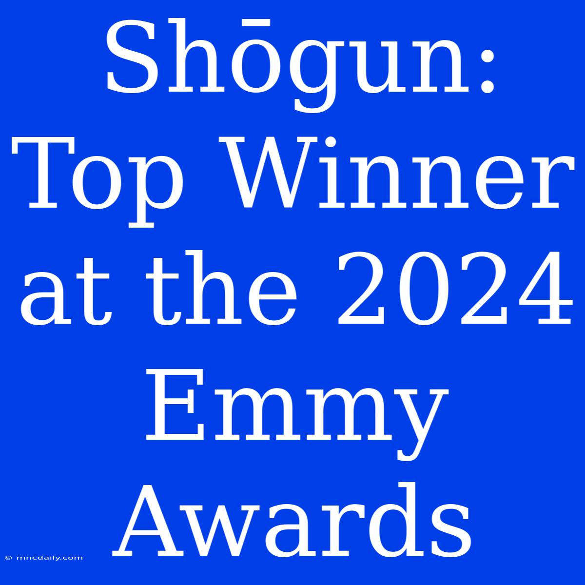 Shōgun: Top Winner At The 2024 Emmy Awards