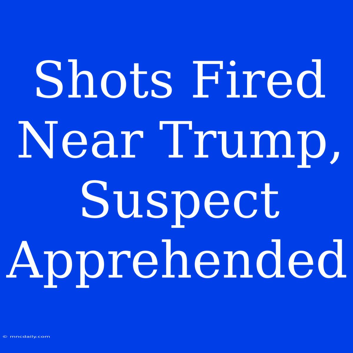 Shots Fired Near Trump, Suspect Apprehended