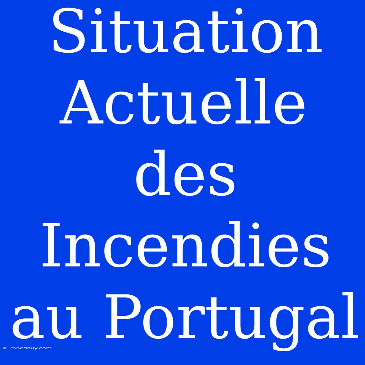 Situation Actuelle Des Incendies Au Portugal 